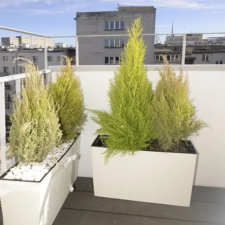 Apartment Przystanek Centrum